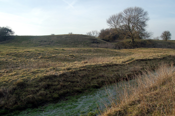 The motte and baileys March 2010